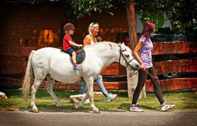 11007496_936815266352991_1065880418_n