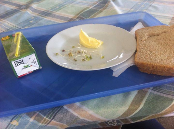 16192_286167118173661_4016697779450586389_n