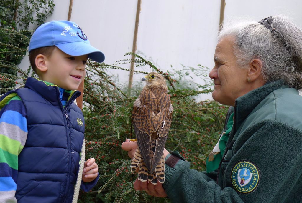 Megnyitásának 50. évfordulójára megújult a kőszegi Chernel-kert