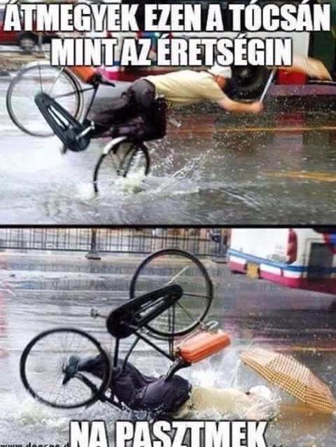 A legjobb érettségis mémek!