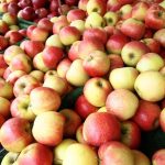 apple-246896_1280