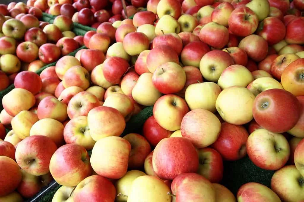 apple-246896_1280