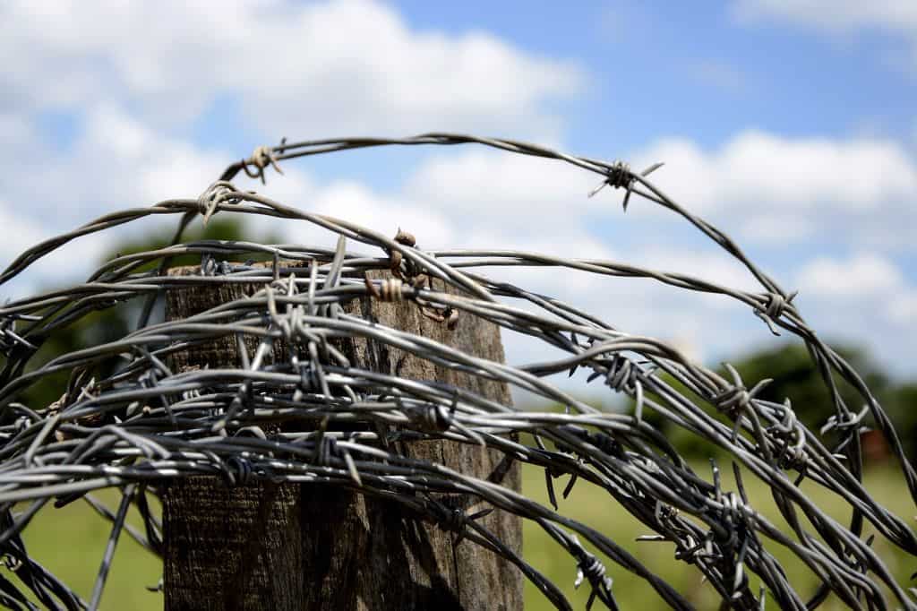 wire-659841_1280