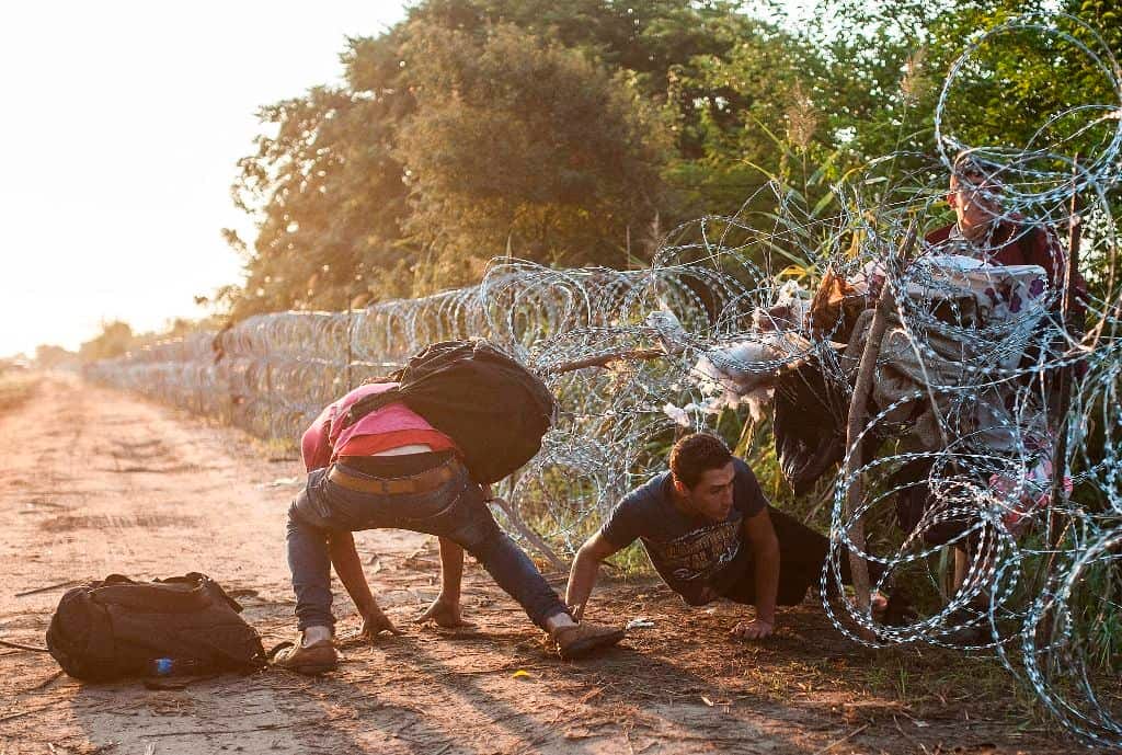 Illegális bevándorlás - Migránsok a magyar-szerb határnál