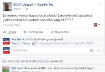 A Köz-Hír is volt már minden, csak akasztott ember nem: