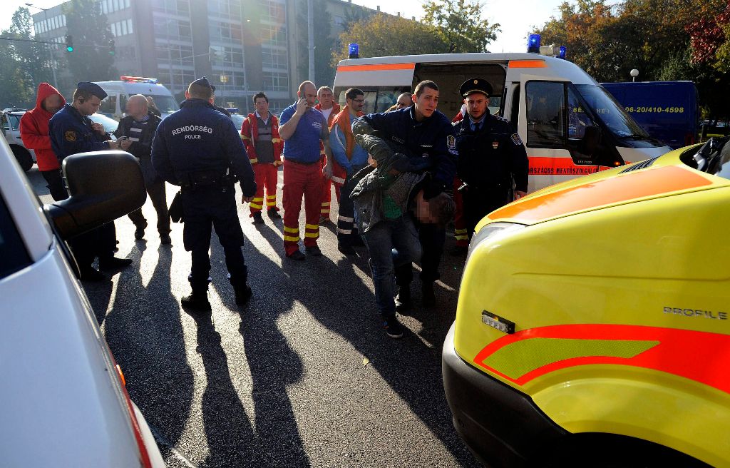 Mentõápolóra támadtak a VIII. kerületben