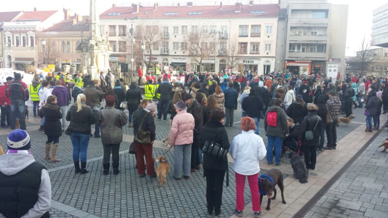 20160220_151313.jpg