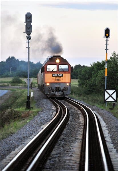 z11