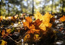 Változékony lesz az idő november utolsó napjaiban