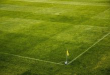 Foci – Newcastle United : Manchester City, 0 :1