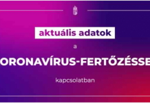 6 millió 416 ezer a beoltott, 12 157 az új fertőzött és elhunyt 100 beteg