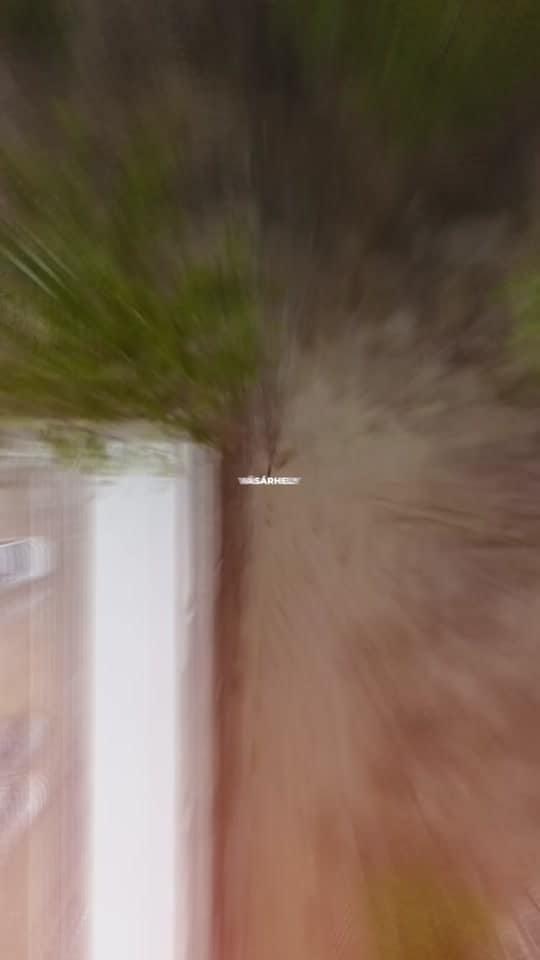 cc9a6c0860a1486992e8648de3214b92_1661692645.jpeg