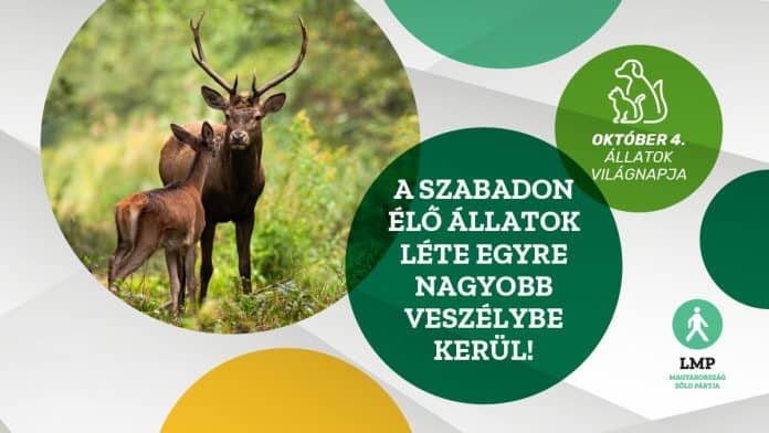 LMP_Allatok_vilagnapja_twitter_poszt_01_1200px_x_675px.png
