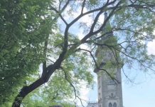 Harang, torony, Fekete Sas, kerékpárok: ilyen az élet Hódmezővásárhely főterén. …