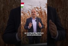 Kormány: Újabb szintre lépett Brüsszel gazdaellenes politikája.