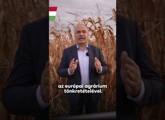 Kormány: Újabb szintre lépett Brüsszel gazdaellenes politikája.