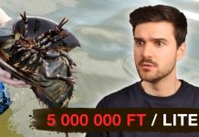 Pamkutya: Miért kerül ennek az állatnak a vére MILLIÓKBA? – Márkopédia #37