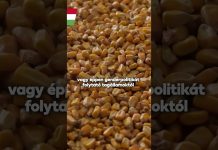 Kormány: Kevesebb pénzt adna a gazdáknak Brüsszel 2027-től. Ez elfogadhatatlan!