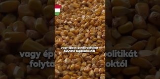 Kormány: Kevesebb pénzt adna a gazdáknak Brüsszel 2027-től. Ez elfogadhatatlan!