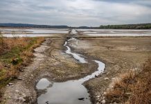 Bő 10 évvel ezelőtt volt utoljára megfelelő állapotban a Pátkai-víztározó
