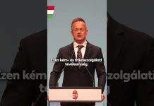 Kormány: Minősíthetetlen Tseber Roland nemrég kiutasított ukrán ügynök patkányozós és fenyegető bejegyzése.