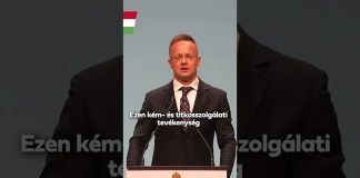 Kormány: Minősíthetetlen Tseber Roland nemrég kiutasított ukrán ügynök patkányozós és fenyegető bejegyzése.