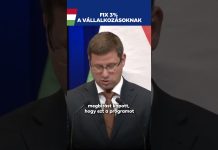 Kormány: Mire használhatják fel a vállalkozások a FIX 3%-os hitelt?