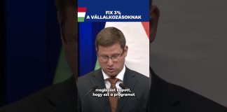 Kormány: Mire használhatják fel a vállalkozások a FIX 3%-os hitelt?