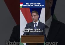 Kormány: Nem szólunk bele más országok belügyeibe, és ugyanezt várjuk el mi is másoktól!