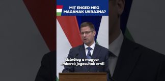 Kormány: Nem szólunk bele más országok belügyeibe, és ugyanezt várjuk el mi is másoktól!