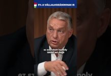 Kormány: Milyen állapotban van a gazdaság?