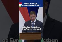 Kormány: Ezért fontos a nemzeti petíció: