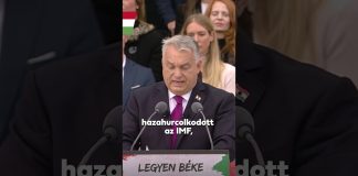 Kormány: Mi egyetlen szabadságot ismerünk: a magyarok szabadságát