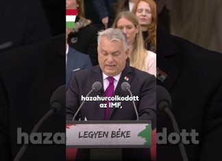 Kormány: Mi egyetlen szabadságot ismerünk: a magyarok szabadságát