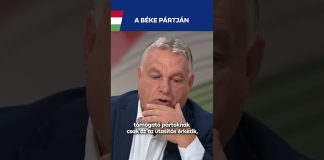 Kormány: A Brüsszelt támogatóknak az az utasítás érkezik, hogy a háborúpárti vonalat kell támogatni