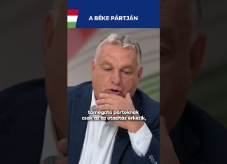 Kormány: A Brüsszelt támogatóknak az az utasítás érkezik, hogy a háborúpárti vonalat kell támogatni