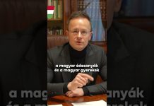 Kormány: Na, ez biztosan nem fog menni!