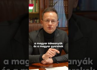 Kormány: Na, ez biztosan nem fog menni!