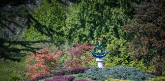 Harmónia és történelem: Japánkertet avatott a Soproni Egyetem a Kámoni Arborétumban