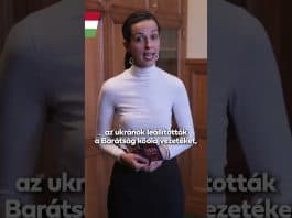 Kormány: Koncz Zsófia ezért töltötte ki a nemzeti petíciót: