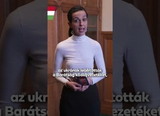 Kormány: Koncz Zsófia ezért töltötte ki a nemzeti petíciót: