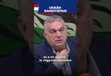 Kormány: Amit az ukránok csinálnak, az állami banditizmus