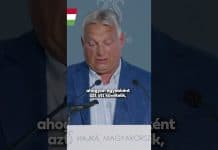 Kormány: Közös háború, migráció, közös adósság – ez történne, ha csatlakoznánk Brüsszel politikájához.