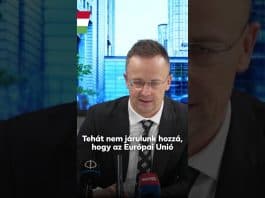 Kormány: Brüsszel katonai kiképzőket küldene Ukrajnába, és még több fejlesztési pénzt küldene fegyverekre.