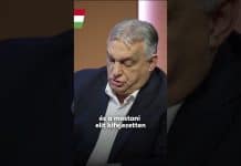 Kormány: Európai civilizációs megsemmisülés? A miniszterelnök a migrációról.