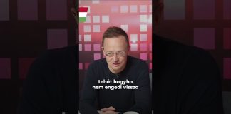 Kormány: Olcsó energia nélkül nem mennek majd a repülők, gázhiány lesz, és ezer forintos benzin.