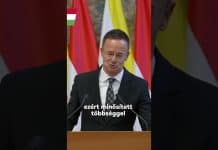 Kormány: “Óriási csalás, az európai szabályok szégyentelen felrúgása.“