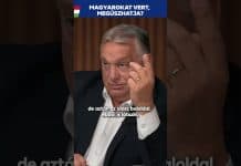 Kormány: Felfordult a világ: megúszhatja egy antifás, aki magyarokat vert?