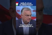 Kormány: Szőlő utcai álhírbotrány: nem lehet büntetlenül kormánytagokat vádolni a legsúlyosabb bűnnel.