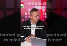 Kormány: Mennyit ártott az Európai Uniónak Ursula von der Leyen? Itt a külügyminiszter válasza: